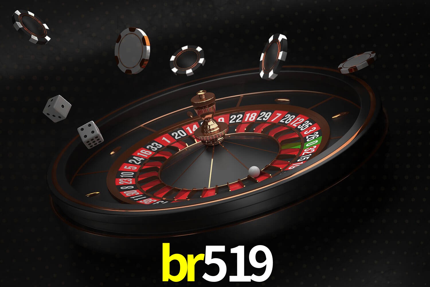 br519